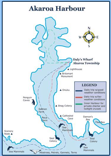 Nature cruise map wildlife in Akaroa