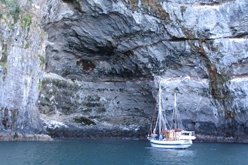 Cathedral Cave 